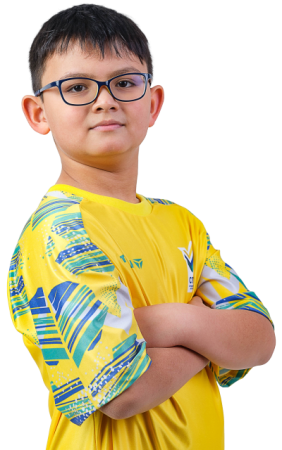 ARAUJO William