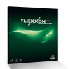 Flexxon FX