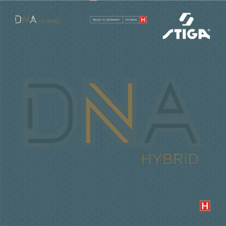 DNA Hybrid H