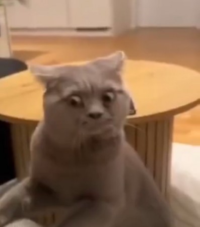 Kaaaj 님의 프로필